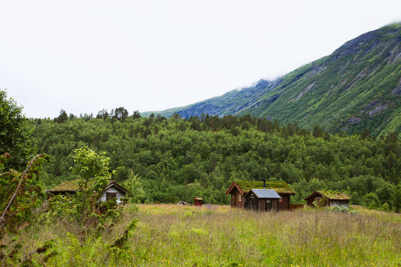 Kristine Graneng – Mørkrisdalen