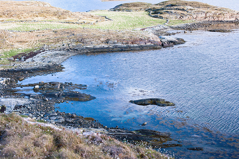 Kristine Graneng – Tranøya