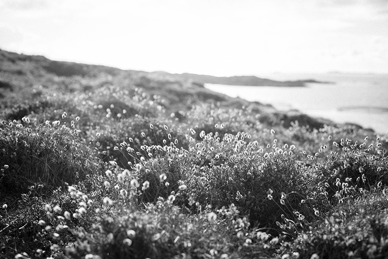 Kristine Graneng – Tranøya